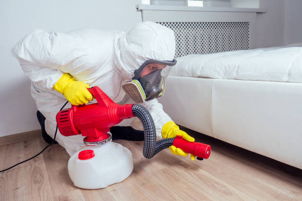 Best Ant Control Services  in Stamford, TX